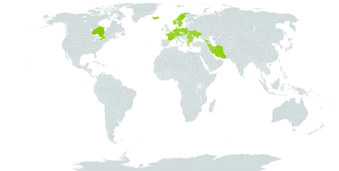 Alchemilla mollis world distribution map, present in Armenia, Austria, Belgium, Bulgaria, Canada, Switzerland, Germany, France, United Kingdom of Great Britain and Northern Ireland, Georgia, Greece, Iran (Islamic Republic of), Iceland, Netherlands, Norway, Poland, Romania, Slovakia, Sweden, and Ukraine