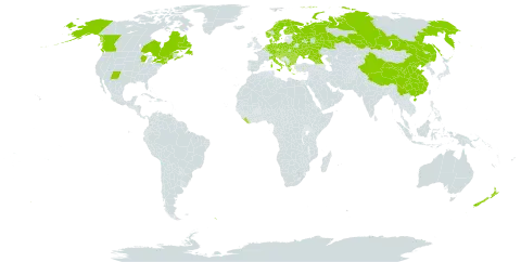 Alchemilla monticola world distribution map, present in Albania, Austria, Belgium, Bulgaria, Belarus, Canada, Switzerland, China, Czech Republic, Germany, Denmark, Finland, France, United Kingdom of Great Britain and Northern Ireland, Georgia, Greece, Croatia, Hungary, Italy, Liberia, Luxembourg, Moldova (Republic of), North Macedonia, Montenegro, Netherlands, Norway, New Zealand, Poland, Romania, Russian Federation, South Georgia and the South Sandwich Islands, Saint Pierre and Miquelon, Serbia, Slovakia, Slovenia, Sweden, Ukraine, and United States of America