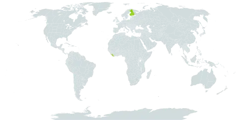 Alchemilla polemochora world distribution map, present in Finland and Liberia