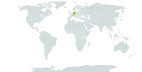 Alchemilla saxatilis world distribution map, present in Andorra, Switzerland, Germany, Spain, France, and Italy