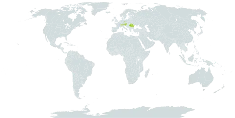 Alchemilla sericoneura world distribution map, present in Austria, Switzerland, Germany, Romania, and Slovenia