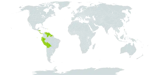 Alchorneopsis world distribution map, present in Bolivia (Plurinational State of), Costa Rica, Dominica, Ecuador, Guyana, Honduras, Panama, Peru, Puerto Rico, Suriname, and Venezuela (Bolivarian Republic of)