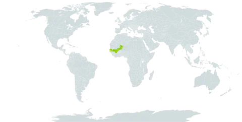 Alectra basserei world distribution map, present in Mali and Senegal