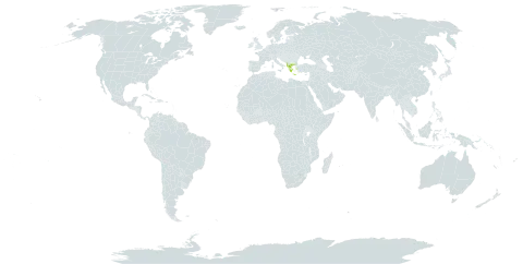 Alkanna pindicola world distribution map, present in Albania, Greece, and North Macedonia