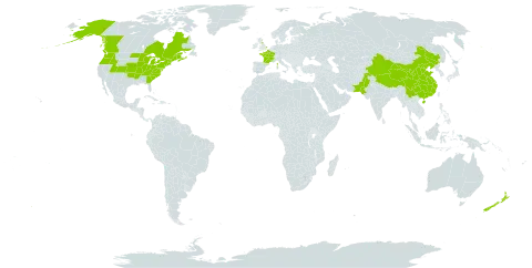 Alliaria petiolata world distribution map, present in Canada, China, France, United Kingdom of Great Britain and Northern Ireland, New Zealand, Pakistan, and United States of America