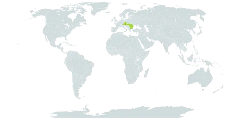 Allium atropurpureum world distribution map, present in Austria, Bulgaria, Czech Republic, Hungary, Romania, and Turks and Caicos Islands