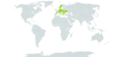 Allium carinatum world distribution map, present in Albania, Austria, Bulgaria, Switzerland, Czech Republic, Germany, Denmark, France, Greece, Hungary, Ireland, Italy, Netherlands, Poland, Romania, Sweden, Turks and Caicos Islands, and Ukraine