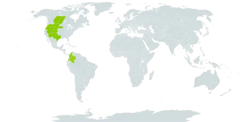 Allium geyeri var. geyeri world distribution map, present in Canada, Colombia, and United States of America