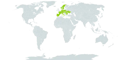 Allium lusitanicum world distribution map, present in Austria, Bulgaria, Switzerland, Czech Republic, Germany, Denmark, Spain, France, Hungary, Italy, Norway, Poland, Portugal, Romania, Sweden, and Ukraine