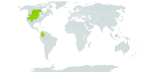 Allium textile world distribution map, present in Canada, Colombia, and United States of America