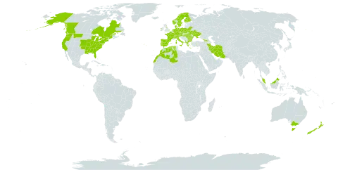 Allium vineale world distribution map, present in Åland Islands, Albania, Australia, Austria, Bulgaria, Belarus, Canada, Switzerland, Czech Republic, Germany, Denmark, Algeria, Spain, Finland, France, Micronesia (Federated States of), United Kingdom of Great Britain and Northern Ireland, Georgia, Greece, Hungary, Ireland, Iran (Islamic Republic of), Italy, Morocco, Malaysia, Netherlands, Norway, New Zealand, Poland, Portugal, Romania, Sweden, Turks and Caicos Islands, Ukraine, and United States of America