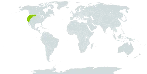 Allotropa world distribution map, present in United States of America