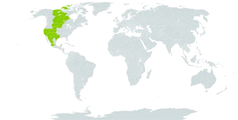 Almutaster pauciflorus world distribution map, present in Canada, Mexico, and United States of America