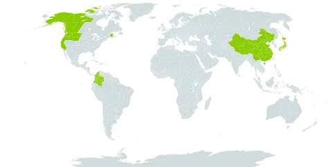 Alnus alnobetula subsp. sinuata world distribution map, present in Canada, China, Colombia, Japan, and United States of America