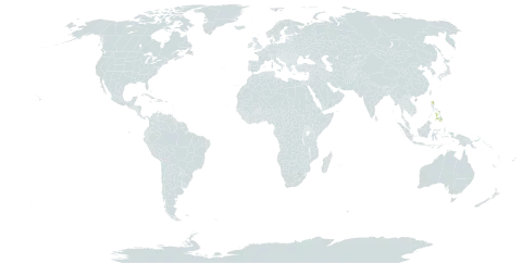 Alocasia sanderiana world distribution map, present in Cook Islands and Philippines