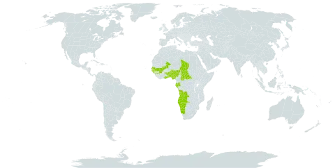 Aloe buettneri world distribution map, present in Angola, Benin, Central African Republic, Gabon, Ghana, Guinea, Guinea-Bissau, Mali, Namibia, Nigeria, Senegal, Chad, and Togo