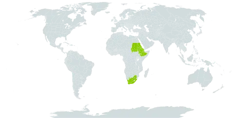 Aloe camperi world distribution map, present in Eritrea, Ethiopia, Sudan, and South Africa