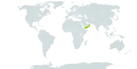 Aloe dhufarensis world distribution map, present in Oman and Yemen