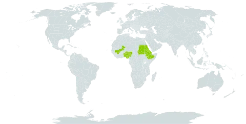 Aloe macrocarpa world distribution map, present in Benin, Djibouti, Eritrea, Ethiopia, Mali, Nigeria, and Sudan