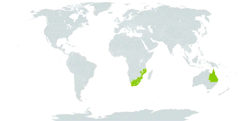 Aloe parvibracteata world distribution map, present in Australia, Mozambique, eSwatini, and South Africa