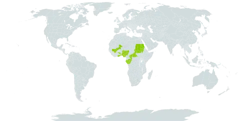 Aloe schweinfurthii world distribution map, present in Central African Republic, Congo, Gabon, Ghana, Mali, Nigeria, Sudan, Togo, and Uganda