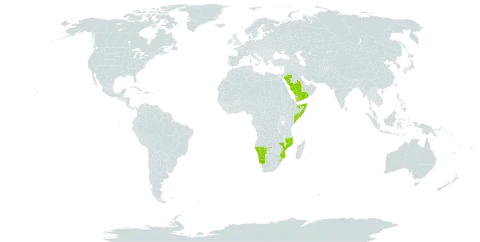 Aloidendron world distribution map, present in Mozambique, Namibia, Saudi Arabia, Somalia, eSwatini, and Yemen