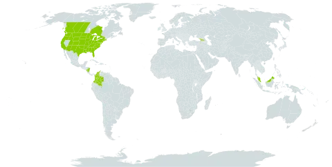 Alopecurus carolinianus world distribution map, present in Åland Islands, Canada, Colombia, Micronesia (Federated States of), Georgia, Malaysia, Nicaragua, and United States of America