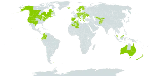 Alopecurus geniculatus world distribution map, present in Afghanistan, Australia, Austria, Bulgaria, Belarus, Canada, Switzerland, Colombia, Czech Republic, Germany, Denmark, Algeria, Ecuador, Spain, Finland, Falkland Islands (Malvinas), France, Micronesia (Federated States of), Greece, Ireland, Iceland, Italy, Kyrgyzstan, Malaysia, Netherlands, Norway, Nepal, New Zealand, Poland, Portugal, Romania, Sweden, Turks and Caicos Islands, Ukraine, United States of America, and Uzbekistan