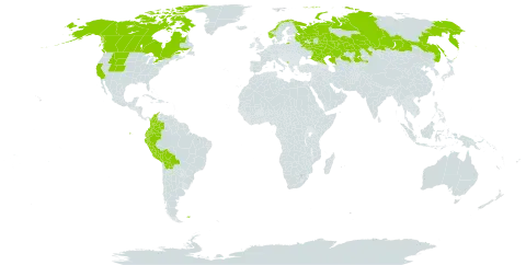 Alopecurus magellanicus world distribution map, present in Bolivia (Plurinational State of), Canada, Colombia, Ecuador, Falkland Islands (Malvinas), Kazakhstan, Montenegro, Norway, Peru, Russian Federation, Svalbard and Jan Mayen, and United States of America