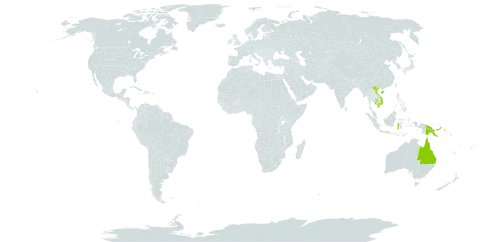 Alphitonia incana world distribution map, present in Australia, Brunei Darussalam, China, Indonesia, Cambodia, Philippines, Papua New Guinea, and Viet Nam