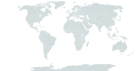 Alpinia haenkei world distribution map, present in Philippines