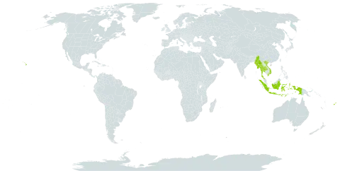 Alpinia mutica world distribution map, present in Fiji, Indonesia, Myanmar, Thailand, United States of America, and Viet Nam