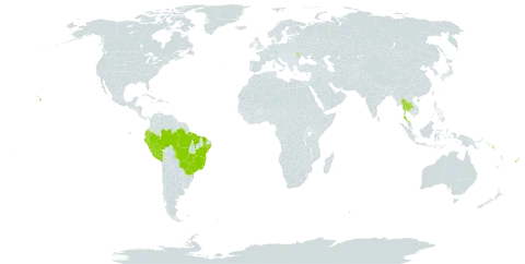 Alpinia purpurata world distribution map, present in Brazil, Cook Islands, Ecuador, Fiji, Moldova (Republic of), Peru, Solomon Islands, Thailand, United States of America, and Vanuatu