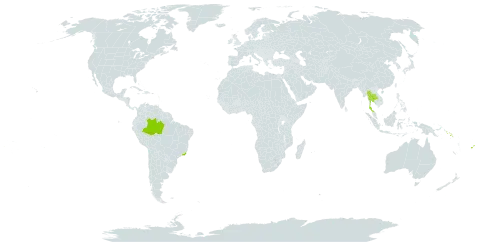 Alpinia vittata world distribution map, present in Brazil, Dominica, Fiji, Solomon Islands, and Thailand