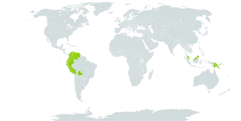 Alsophila batjanensis world distribution map, present in Bolivia (Plurinational State of), Colombia, Ecuador, Kenya, Malaysia, Peru, Papua New Guinea, and Venezuela (Bolivarian Republic of)