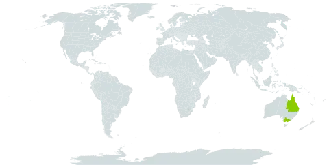 Alsophila leichhardtiana world distribution map, present in Australia