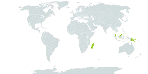 Alsophila melleri world distribution map, present in Madagascar, Malaysia, and Papua New Guinea