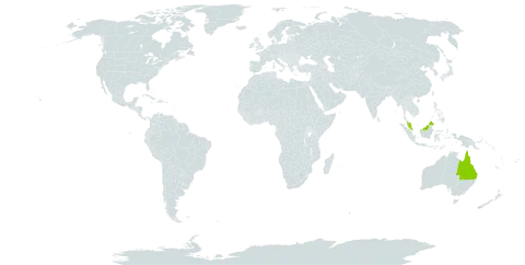 Alsophila rebeccae world distribution map, present in Australia, Malaysia, and Uruguay