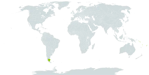 Alstonia costata world distribution map, present in Argentina, American Samoa, Cook Islands, Fiji, Solomon Islands, Tonga, Vanuatu, and Samoa