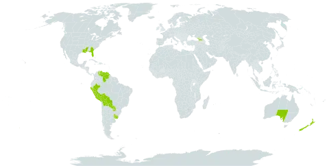 Alstroemeria world distribution map, present in Åland Islands, Australia, Bolivia (Plurinational State of), Georgia, Norfolk Island, New Zealand, Peru, Paraguay, Uruguay, United States of America, and Venezuela (Bolivarian Republic of)