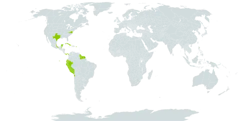 Alternanthera halimifolia world distribution map, present in Bonaire, Sint Eustatius and Saba, Belize, Chile, Cuba, Ecuador, Grenada, French Guiana, Guyana, Jamaica, Mexico, Panama, Peru, Puerto Rico, Suriname, and United States of America