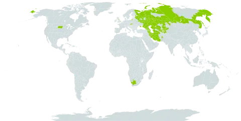 Althaea armeniaca world distribution map, present in Afghanistan, Armenia, Azerbaijan, United Kingdom of Great Britain and Northern Ireland, Georgia, Iran (Islamic Republic of), Kazakhstan, Kyrgyzstan, Russian Federation, Slovakia, Tajikistan, Turkmenistan, Ukraine, United States of America, Uzbekistan, and South Africa