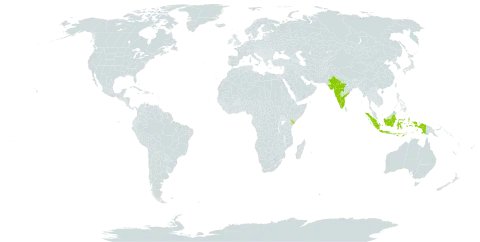 Alysicarpus parviflorus world distribution map, present in Indonesia, India, and Kenya