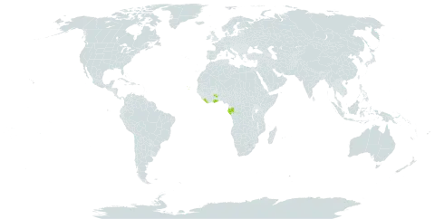 Amanoa strobilacea world distribution map, present in Cabo Verde, Gabon, Ghana, and Liberia