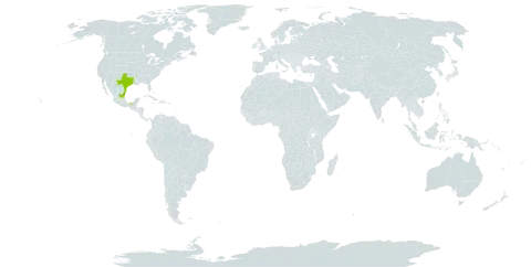 Amaranthus tamaulipensis world distribution map, present in Mexico and United States of America