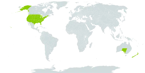 Ambrosia world distribution map, present in Australia, New Zealand, and United States of America