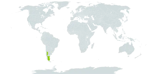 Ameghinoa patagonica world distribution map, present in Argentina and Uruguay