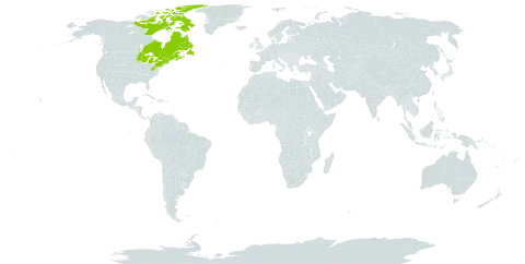 Amelanchier bartramiana world distribution map, present in Canada, France, Saint Pierre and Miquelon, and United States of America