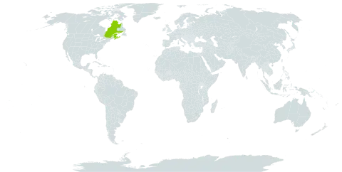 Amelanchier fernaldii world distribution map, present in Canada