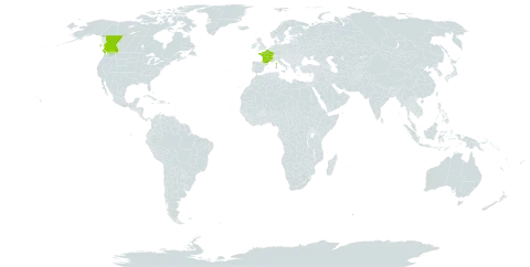 Amelanchier lamarckii world distribution map, present in Canada and France